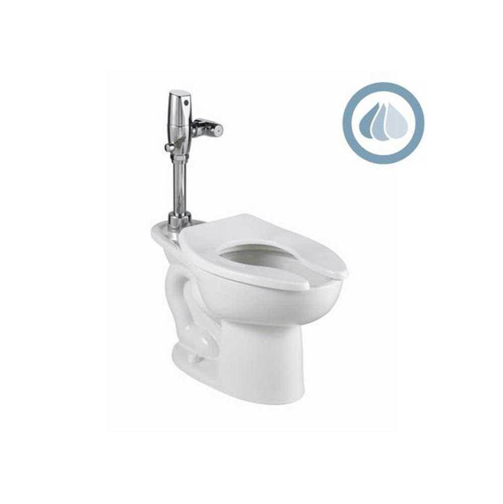 SPS Companies, Inc.American StandardMadera™ 1.1 - 1.6 gpf (4.2 - 6.0 Lpf) Chair Height Back Spud Elongated EverClean® Bowl With Bedpan Lugs