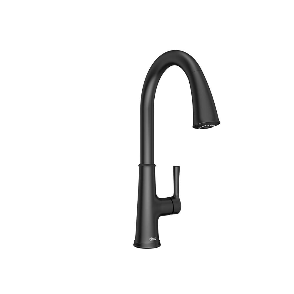 American Standard Pull Down Faucet Kitchen Faucets item 9319310.243