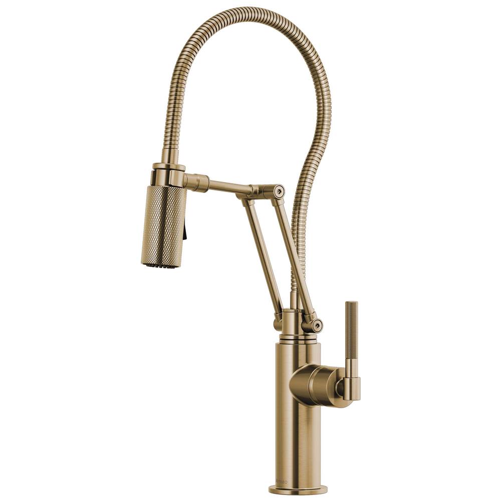 Brizo Retractable Faucets Kitchen Faucets item 63143LF-GL