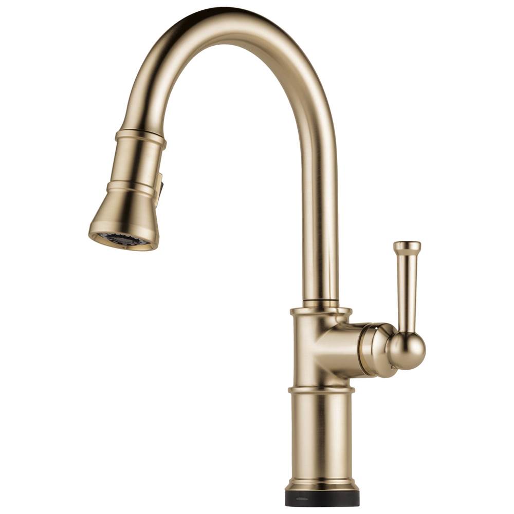 Brizo Retractable Faucets Kitchen Faucets item 64025LF-GL