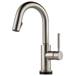 Brizo - 64920LF-SS - Bar Sink Faucets