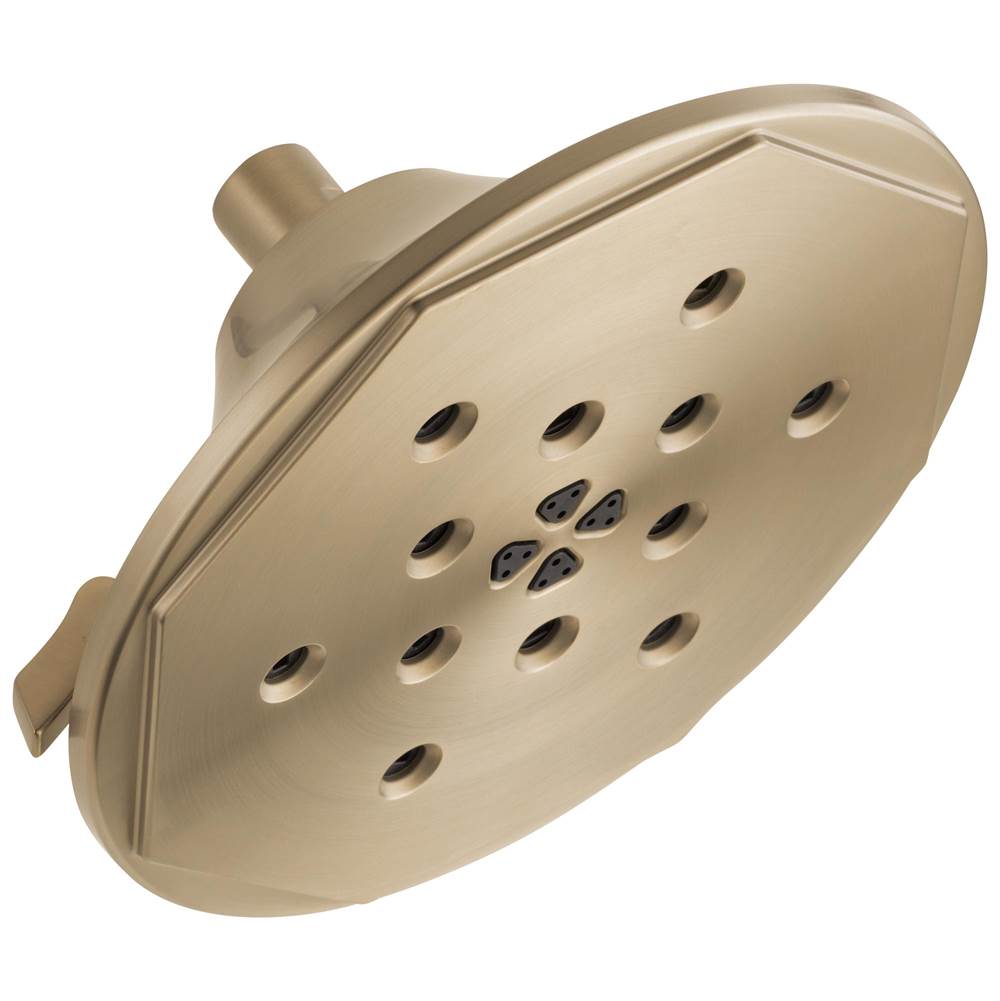 Brizo  Shower Heads item 87461-GL