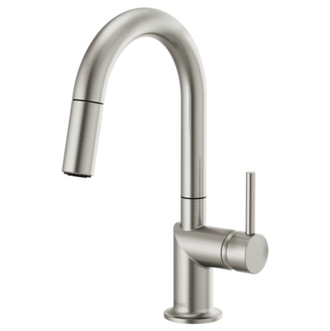 Brizo  Bar Sink Faucets item 63975LF-SSLHP
