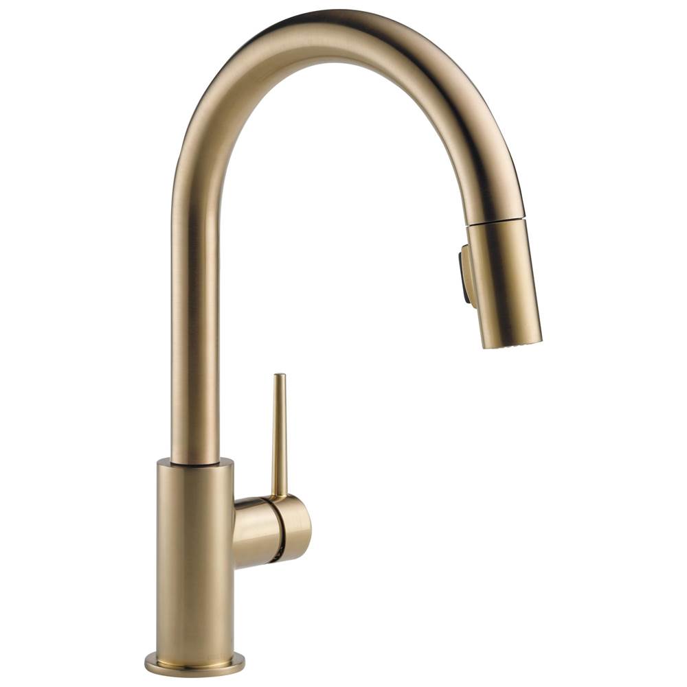 Delta Faucet Single Hole Kitchen Faucets item 9159-CZ-DST
