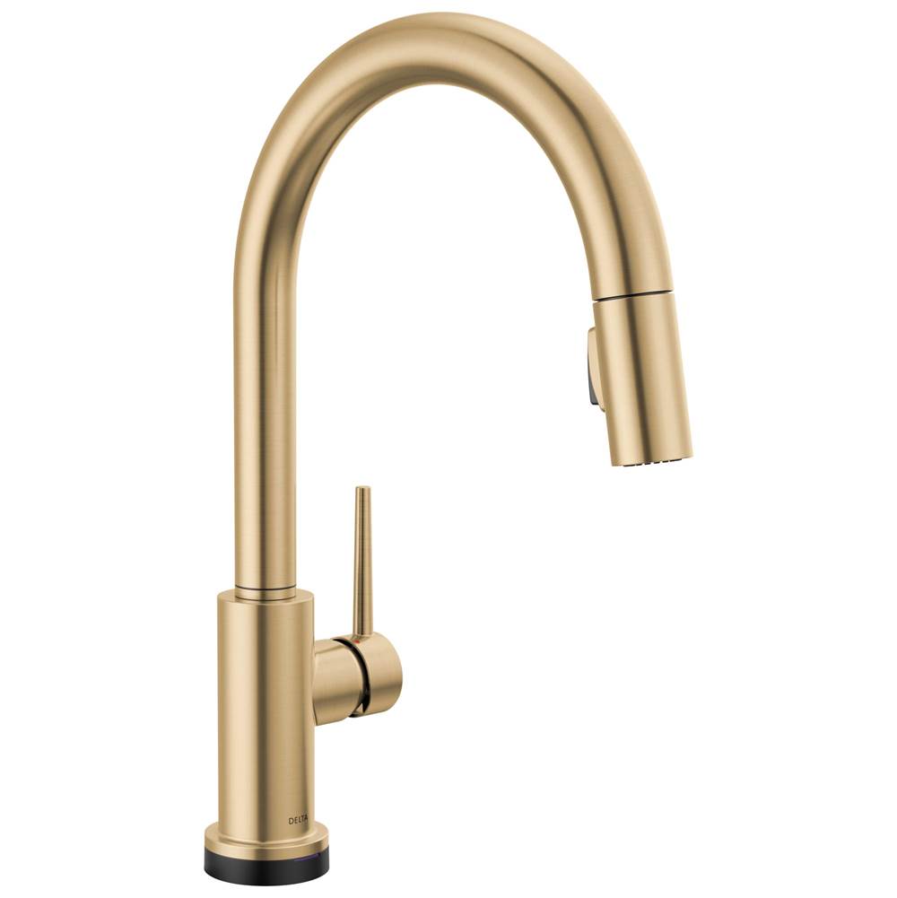 Delta Faucet Retractable Faucets Kitchen Faucets item 9159TLV-CZ-DST