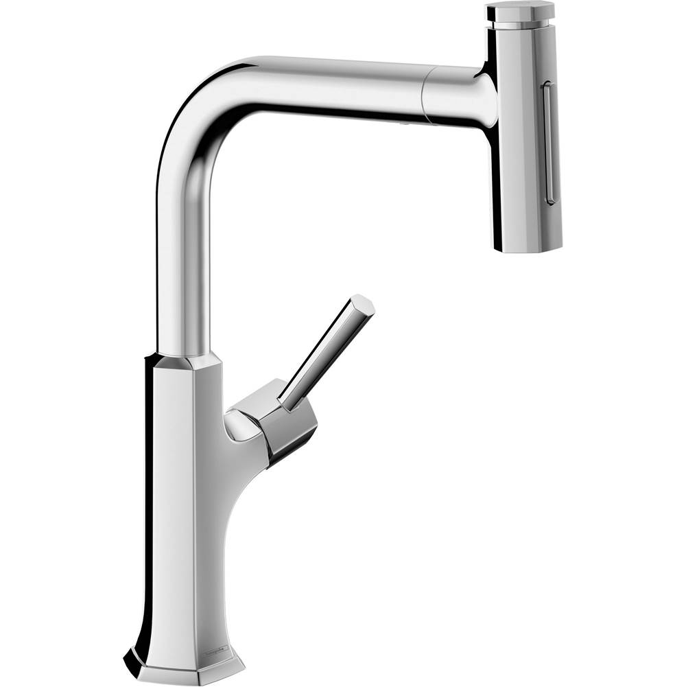 Hansgrohe Articulating Kitchen Faucets item 04828000