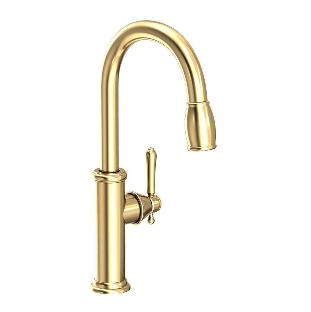 Newport Brass Retractable Faucets Kitchen Faucets item 1030-5103/01