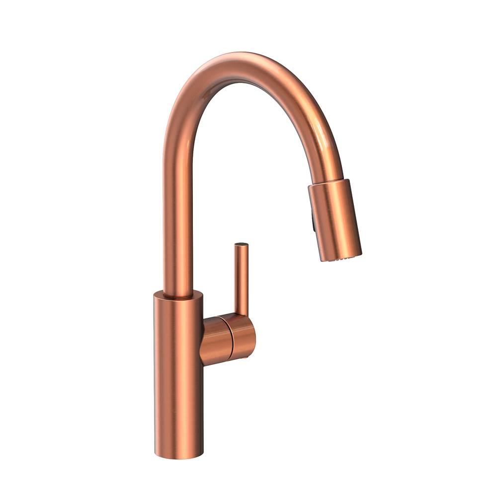 Newport Brass Single Hole Kitchen Faucets item 1500-5103/08A