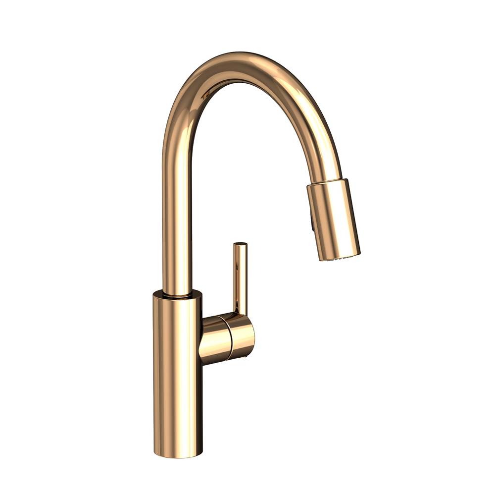 Newport Brass Single Hole Kitchen Faucets item 1500-5103/24A