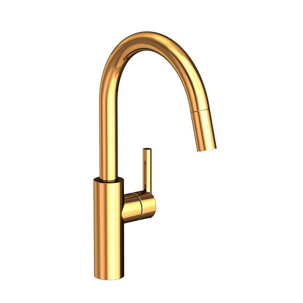 Newport Brass Retractable Faucets Kitchen Faucets item 1500-5113/24
