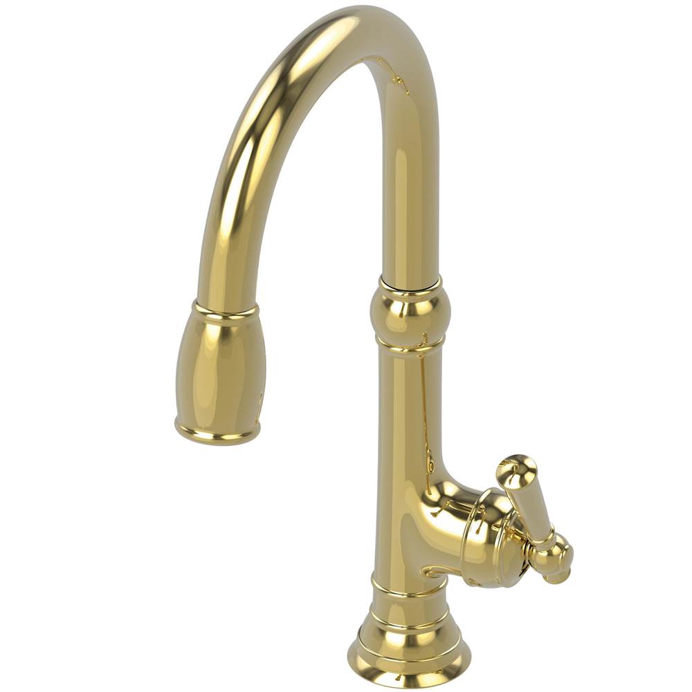 Newport Brass Single Hole Kitchen Faucets item 2470-5103/24A