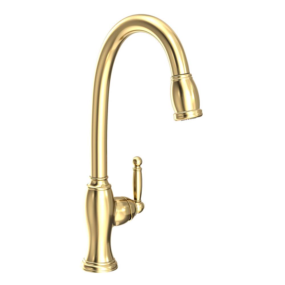 Newport Brass Single Hole Kitchen Faucets item 2510-5103/01