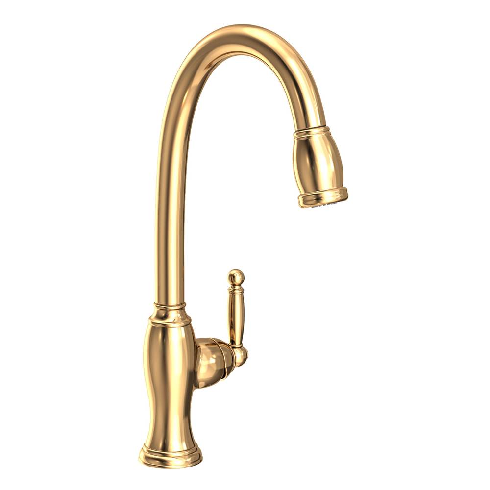 Newport Brass Single Hole Kitchen Faucets item 2510-5103/03N
