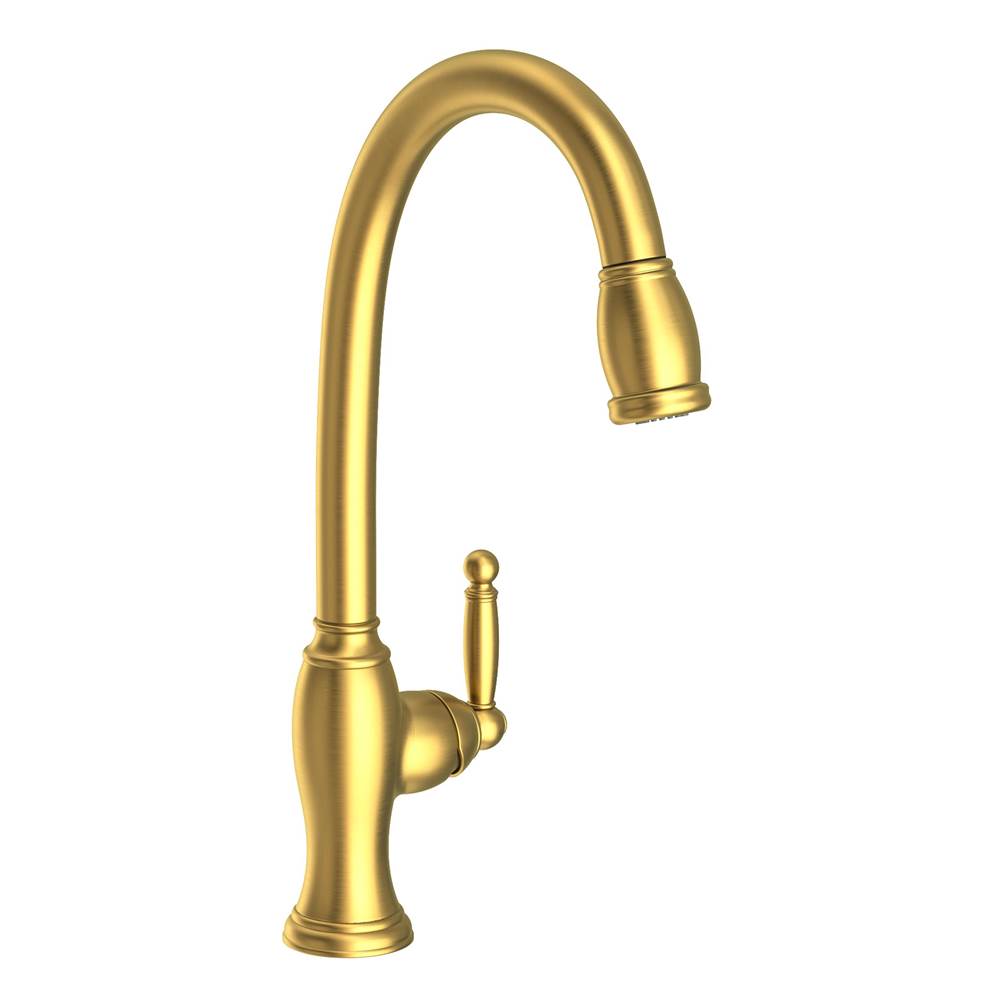 Newport Brass Single Hole Kitchen Faucets item 2510-5103/04