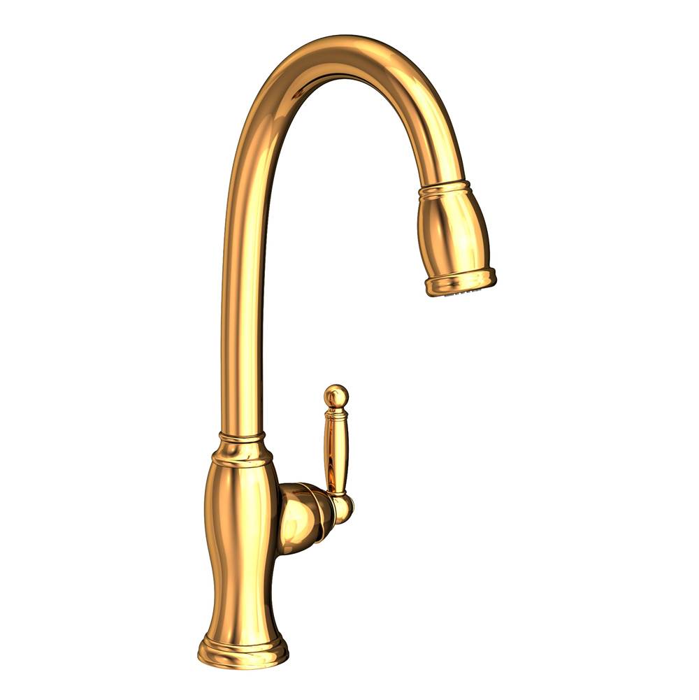 Newport Brass Single Hole Kitchen Faucets item 2510-5103/24