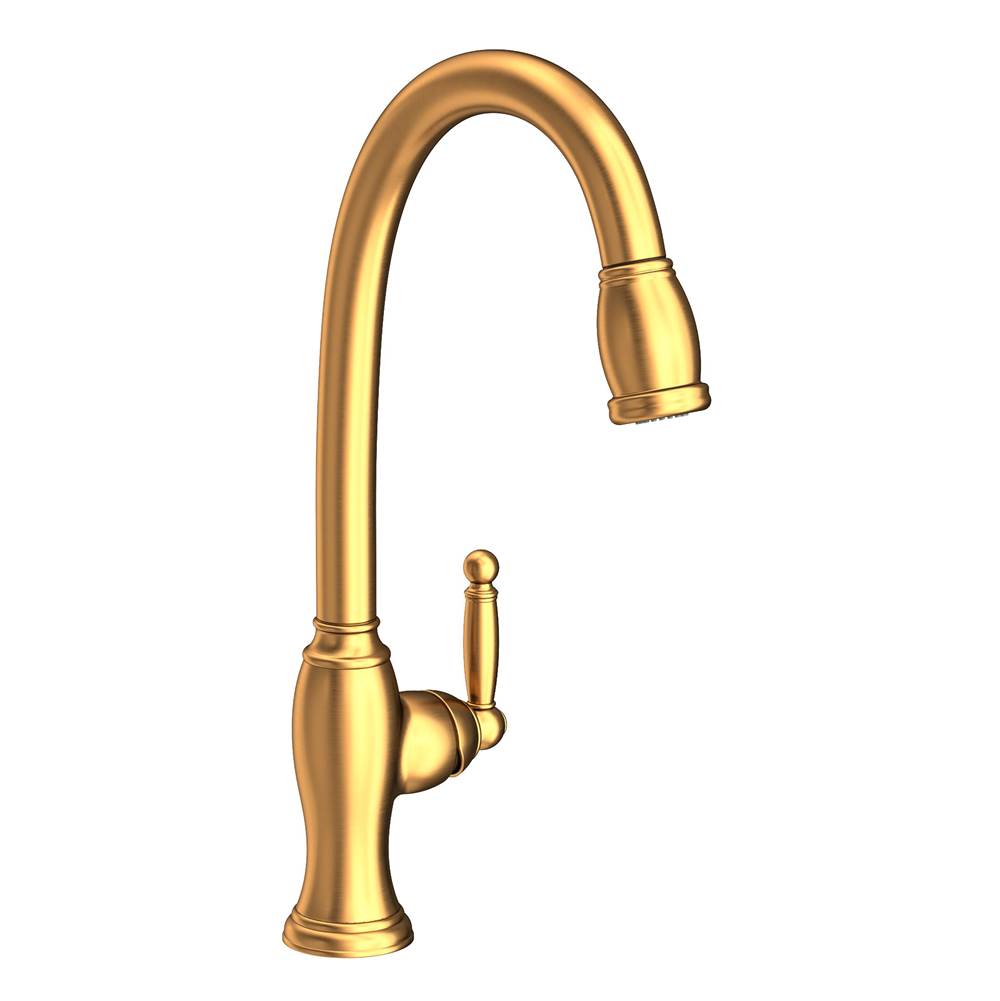 Newport Brass Single Hole Kitchen Faucets item 2510-5103/24S