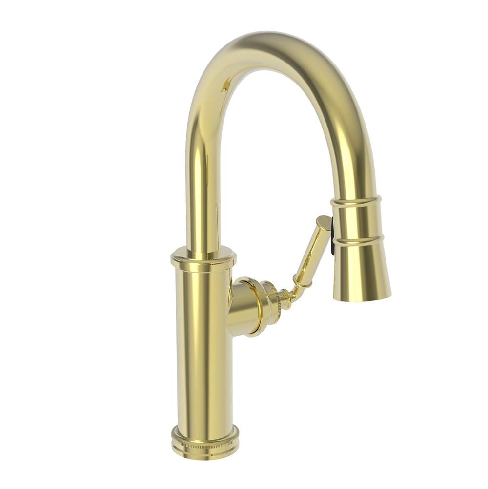Newport Brass Pull Down Bar Faucets Bar Sink Faucets item 2940-5223/01