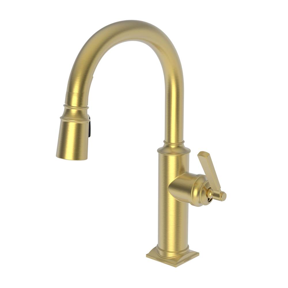 Newport Brass Pull Down Bar Faucets Bar Sink Faucets item 3170-5203/10